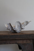 Natural Clam Shell