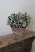 Antique French Pine Resin Pot