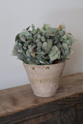 Antique French Pine Resin Pot